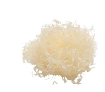 GraftNET Granulado