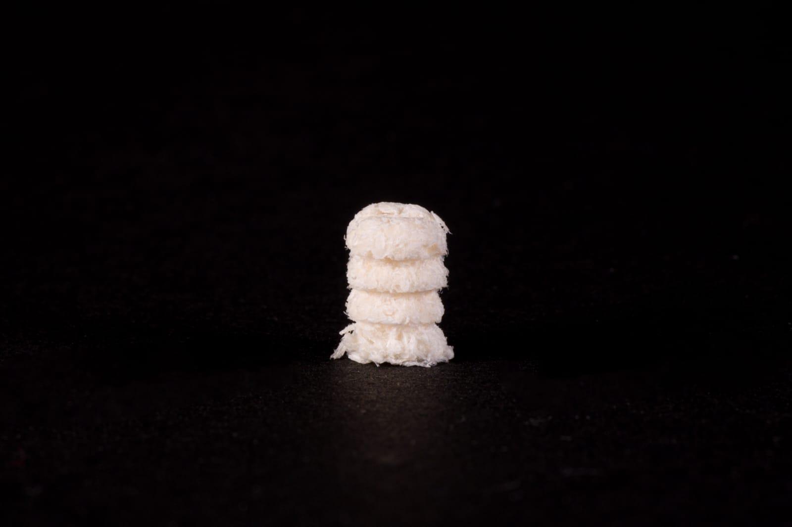 GraftNET Hybrid CORE3 Plug
